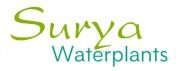 Surya Waterplants (Pvt.) Ltd.